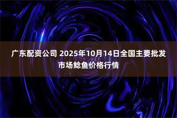 广东配资公司 2025年10月14日全国主要批发市场鲶鱼价格行情